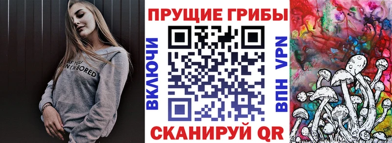 kraken сайт  Староминская  Галлюциногенные грибы прущие грибы  магазин   